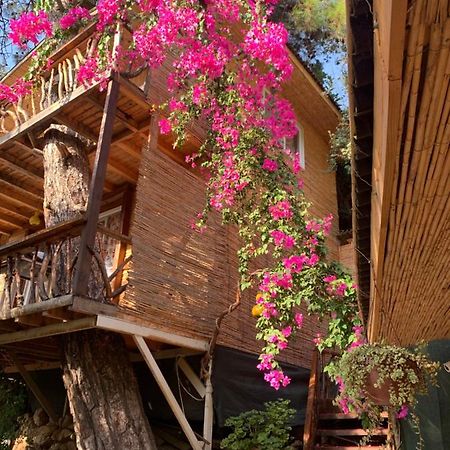 Large Bungalow With Sea View In Kabak Bay, Oeluedeniz Fethiye Exterior foto