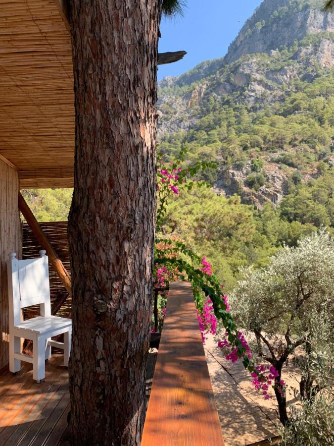 Large Bungalow With Sea View In Kabak Bay, Oeluedeniz Fethiye Exterior foto